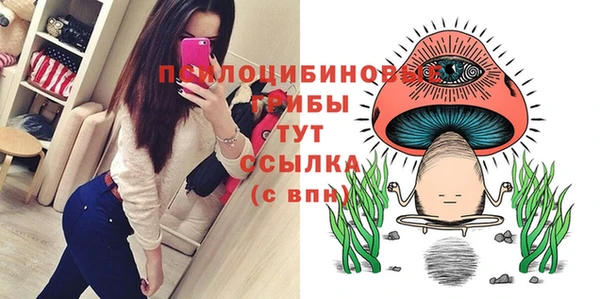ПСИЛОЦИБИНОВЫЕ ГРИБЫ Нея